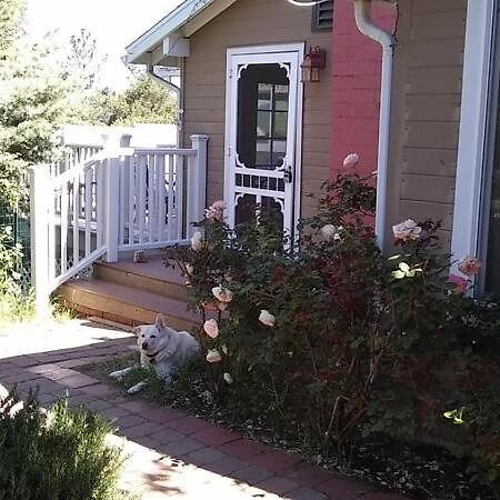 Blue Bird Cottage - Pet Friendly Джулиан Экстерьер фото