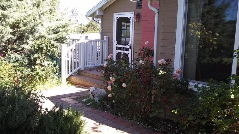 Blue Bird Cottage - Pet Friendly Джулиан Экстерьер фото